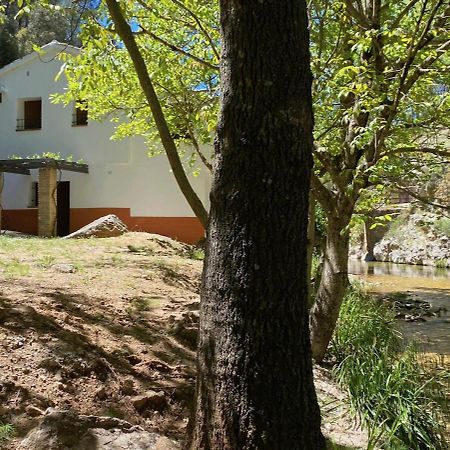 Casa Rural Molino Jaraiz Yeste Exteriér fotografie