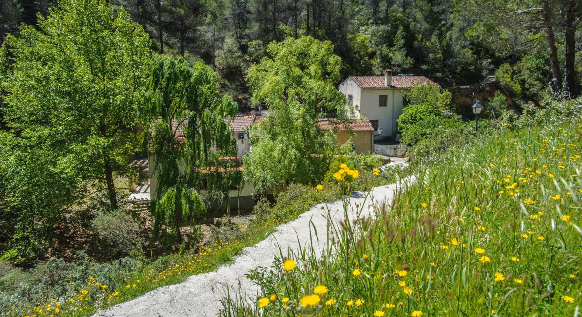 Casa Rural Molino Jaraiz Yeste Exteriér fotografie